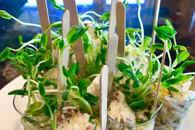 foodies catering inc & foodie events