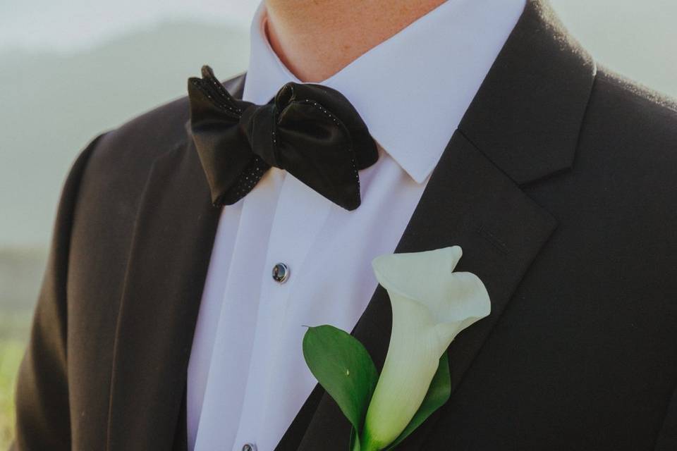 Groom