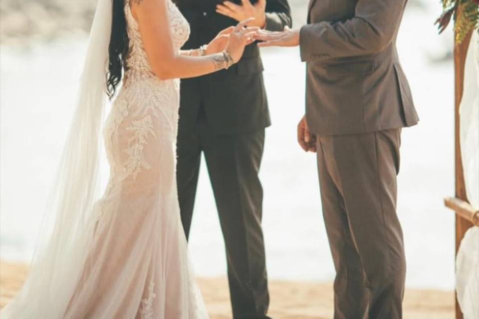 The Perfect Wedding Officiant