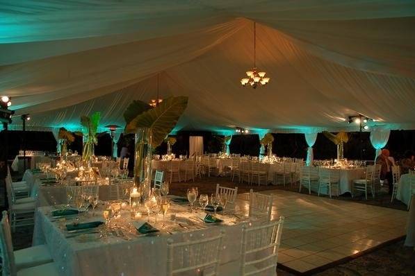 Upgraded Tent, Draping, and Lighting at the Deering Estate