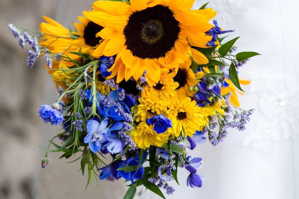 Sunflowers with blue