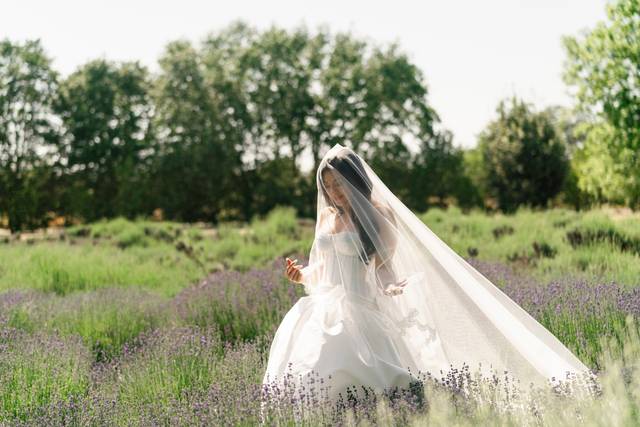 Wiederhoeft Bridal Gown