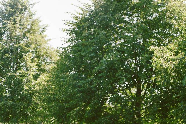 Private Estate Ceremony Detail