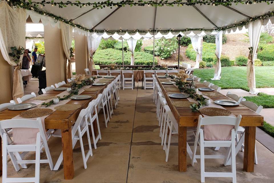 Twinergy Party Design