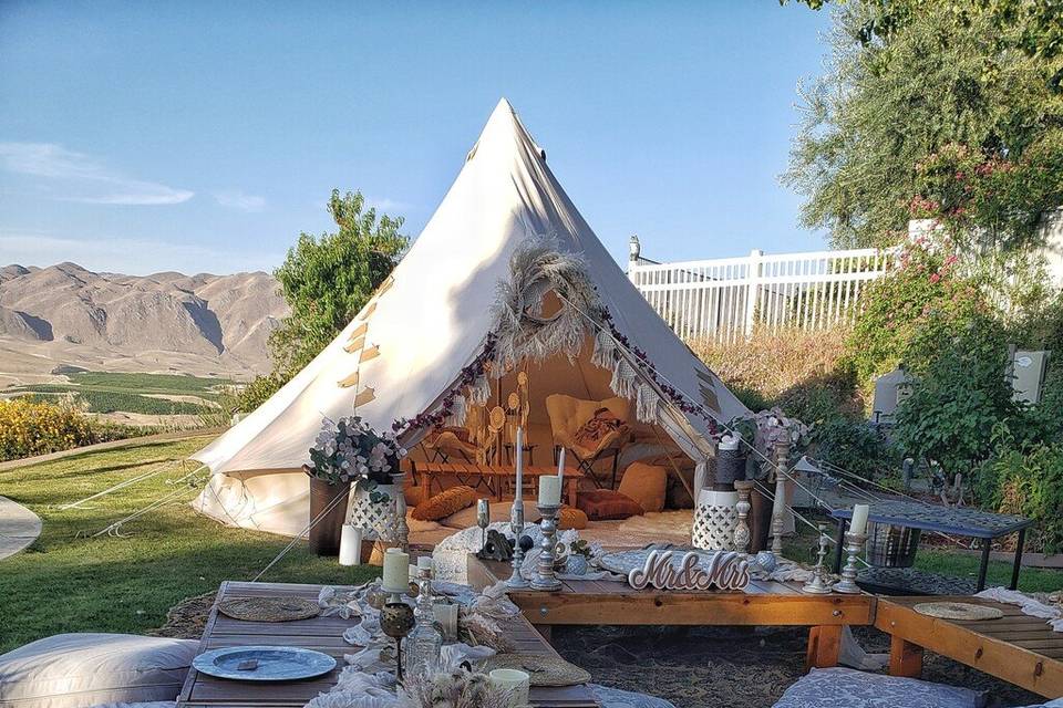 Twinergy Party Design