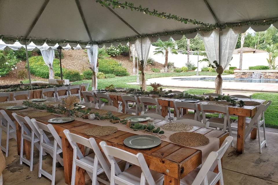 Twinergy Party Design