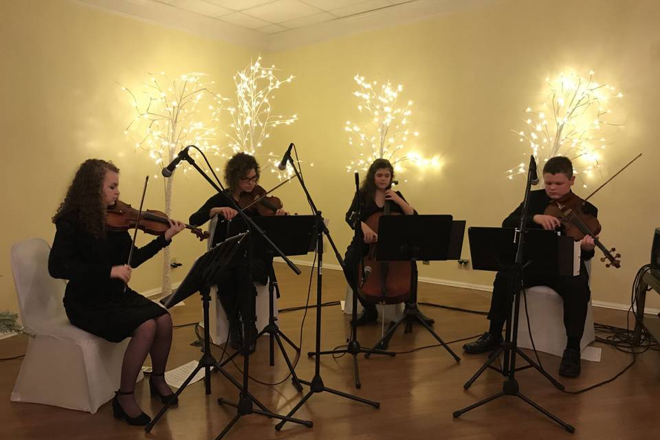 Anderson String Quartet