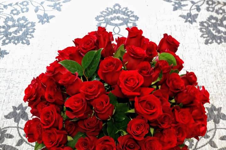 Classic red roses