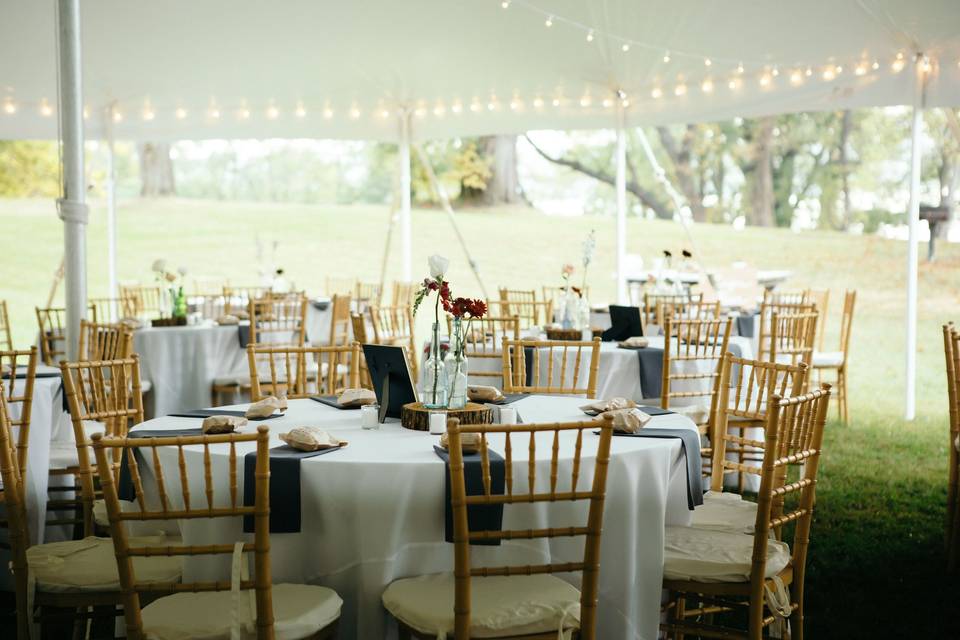 Reception setup