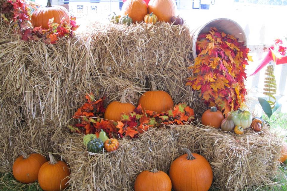 decor at The Ocala Pumpkin Run 2011--horsepower in the heart of horse country.  Classic car show