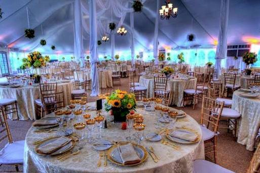 Moments Party Rentals & Decor - Party Rentals and Decor in