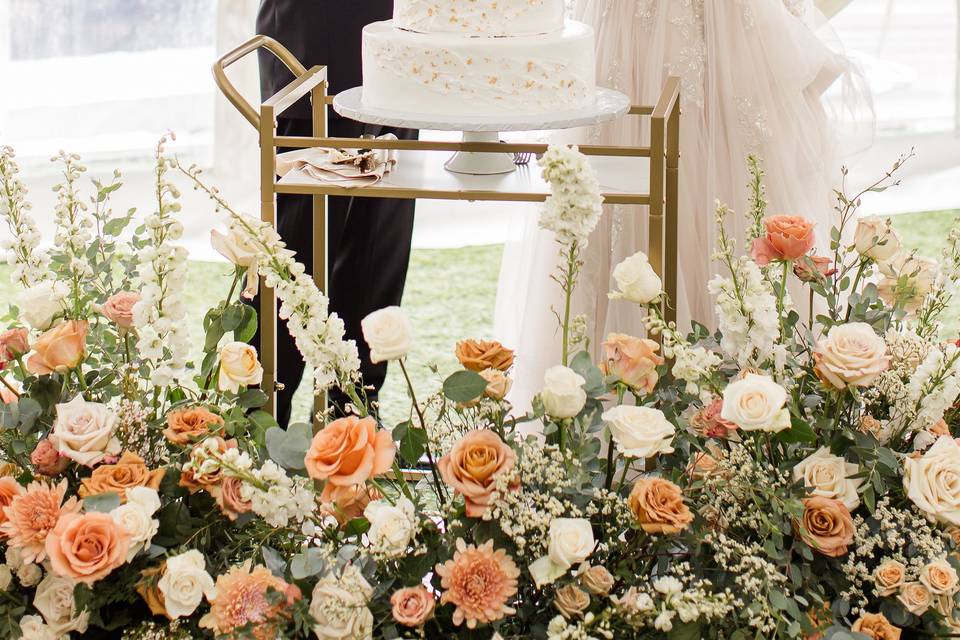 The cake feeding