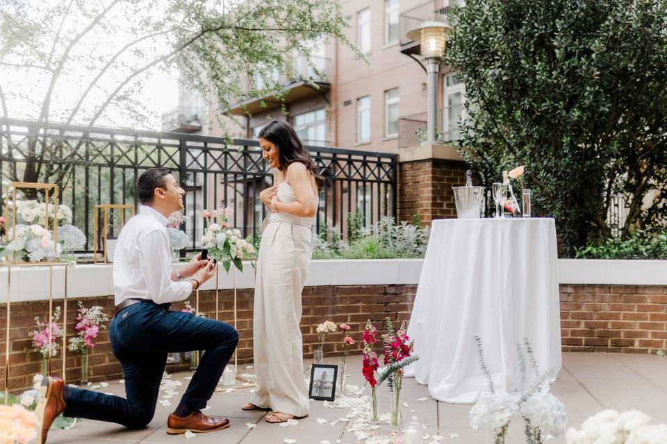 Proposal on the Terrace 3