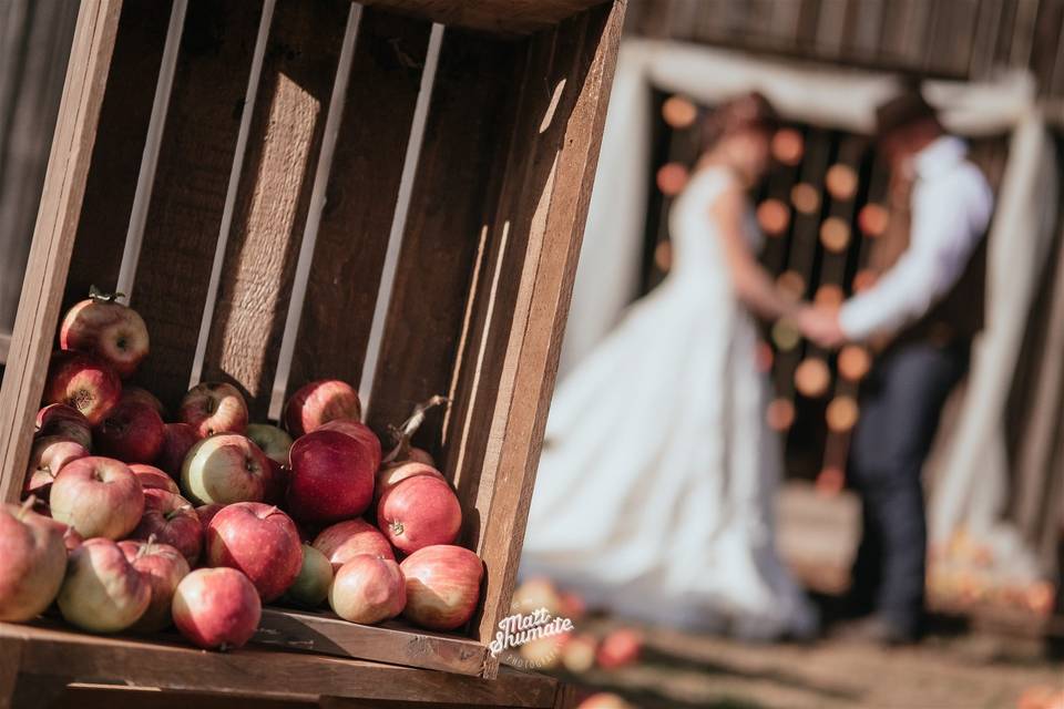 Apple rustic wedding