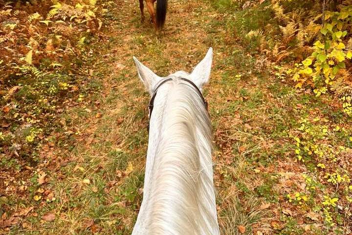 Trekking through the foliage