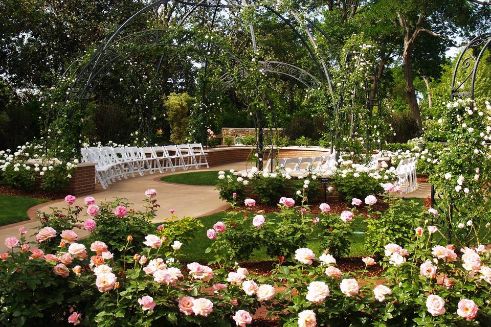 Rose Garden