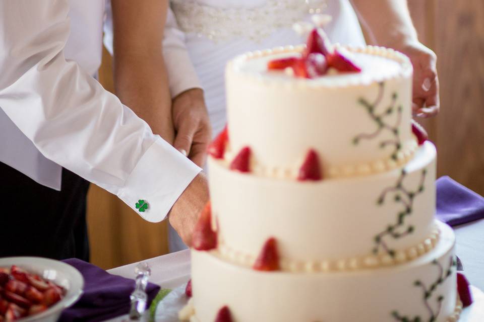 Cake Cutting