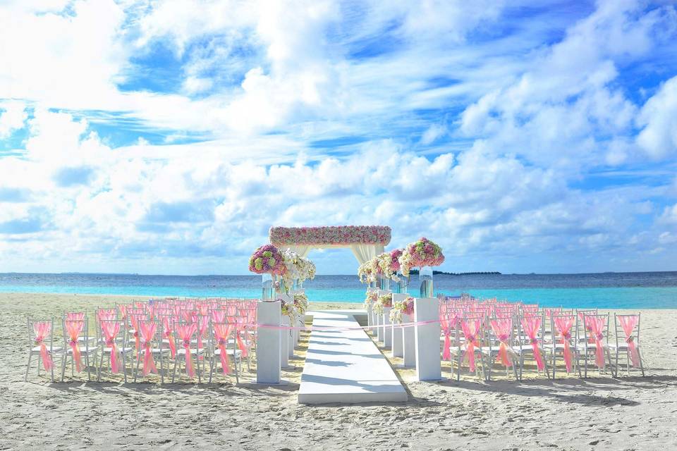 Beach Wedding