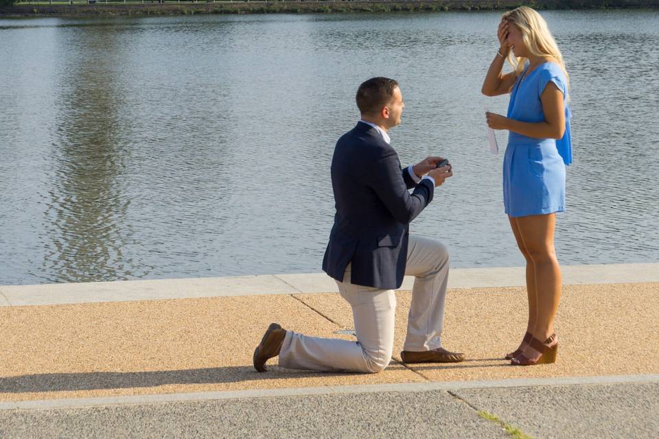 Proposal in DC