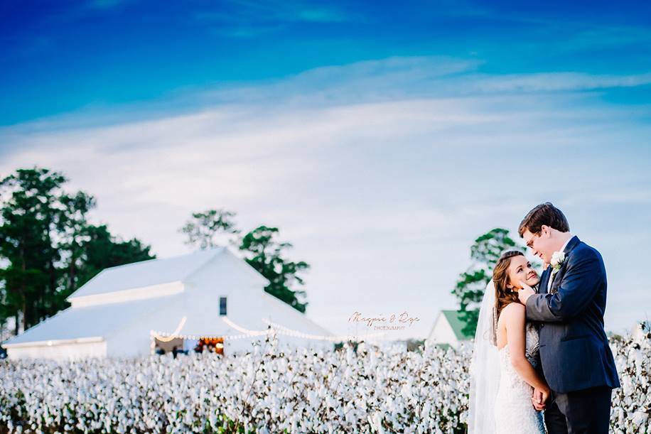 Cotton and white wedding barn