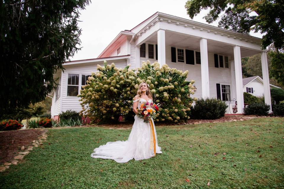 Bride's Portrait