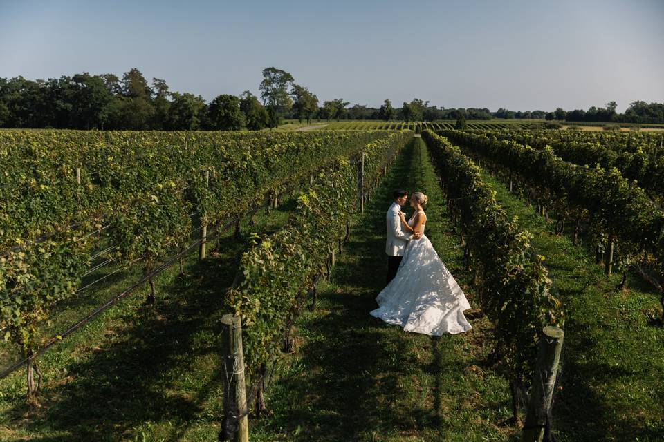 Couple between the vines