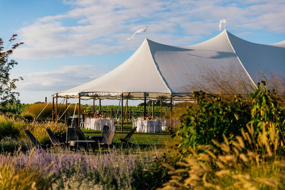 Tented Wedding Reception