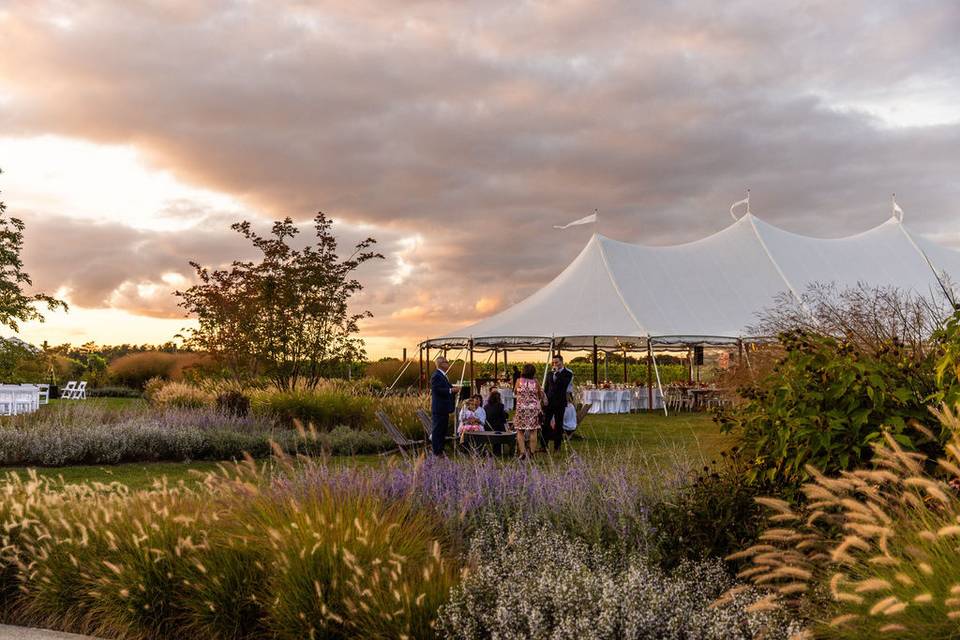 Tented Wedding Reception