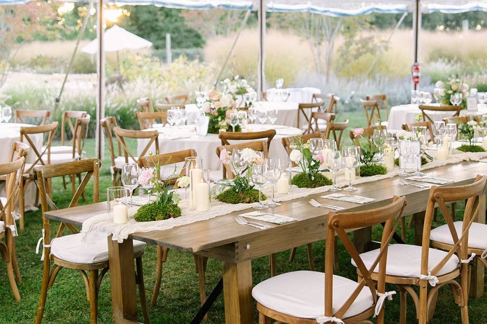 Tented Wedding Reception
