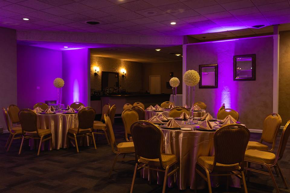 Ballroom with classic styling