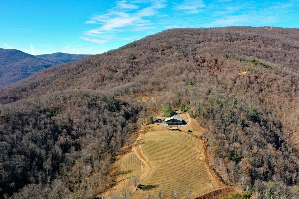 Stone Mountain Vineyards