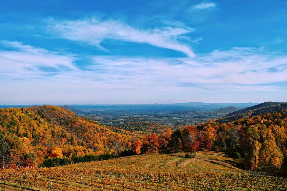 Fall time on the mountain