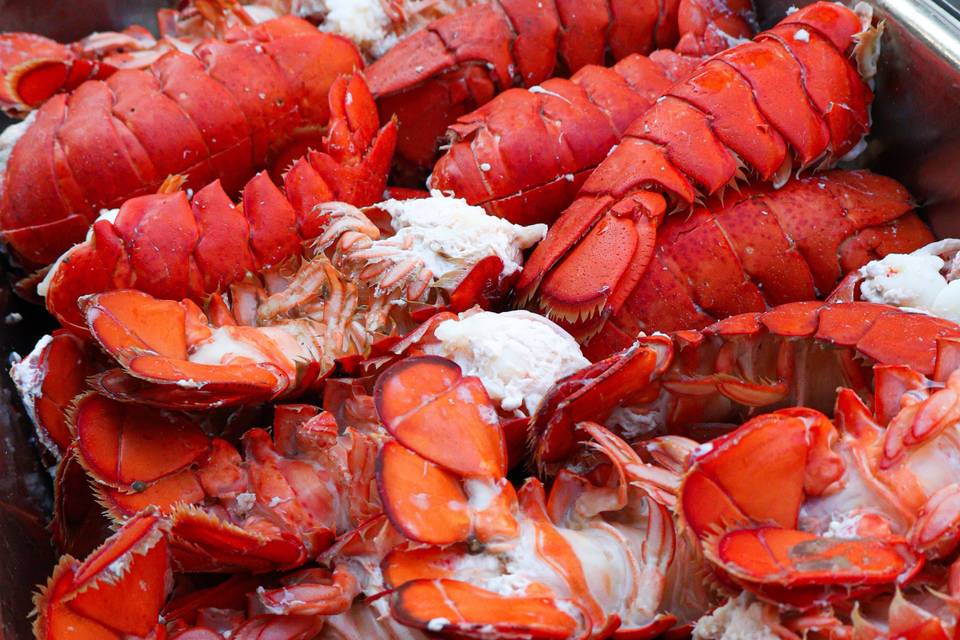 Lobster - delicous!