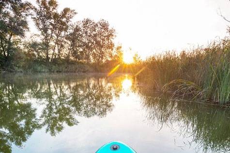 Paddleboarding