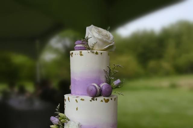 Purple ombre