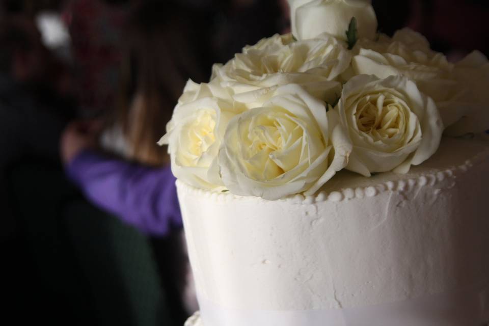 M & J Photography
