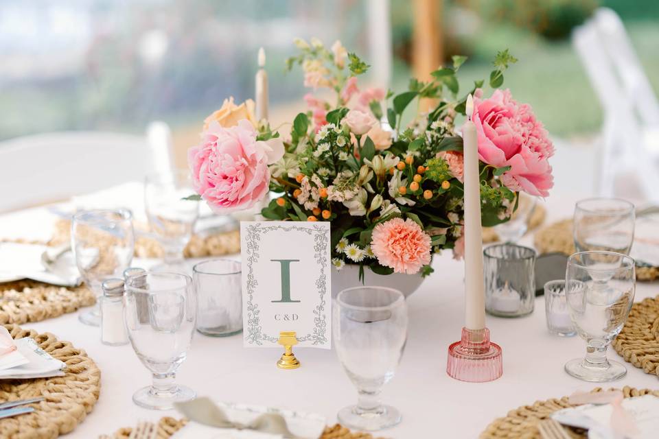 Grace Kimmell Photo