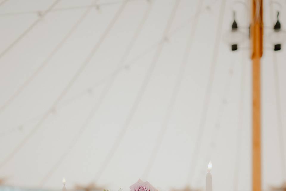 Meg & Co. Photography