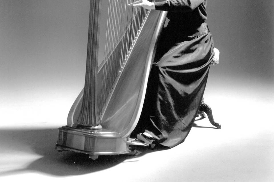 Harpist at the studio