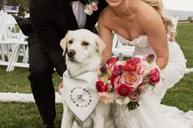 Colorado Wedding
