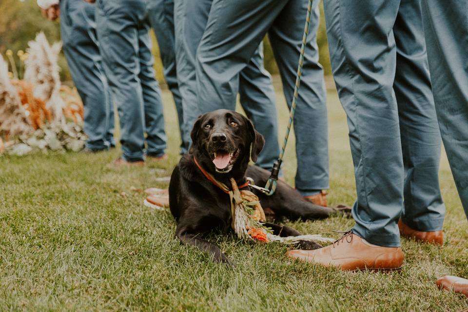 Vermont Wedding