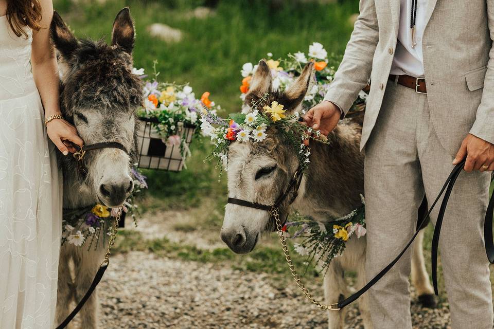 Colorado Wedding