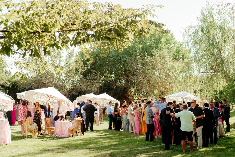 Shaded Lawn Area