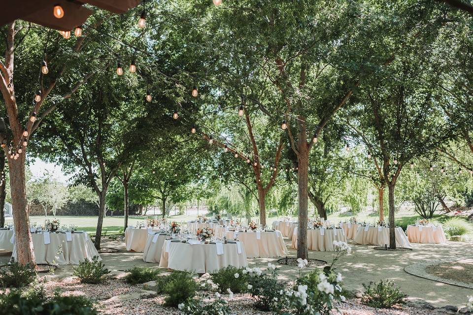 Reception Dining