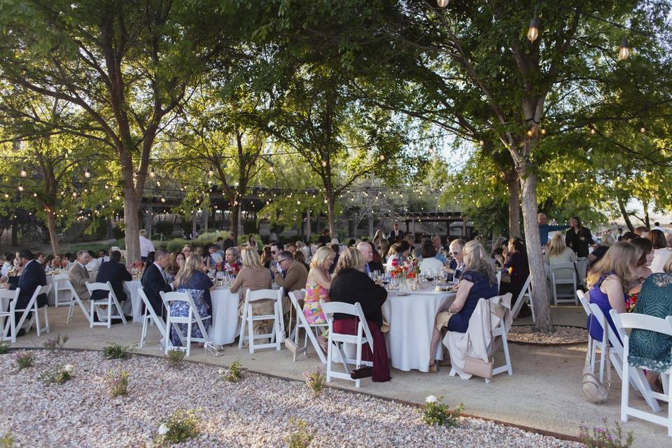Reception Dining