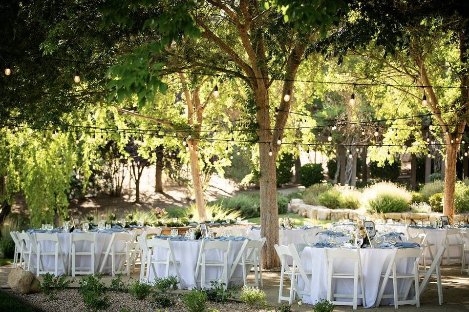 Reception Dining