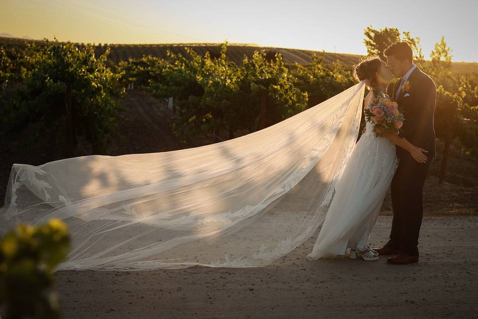 Vineyard