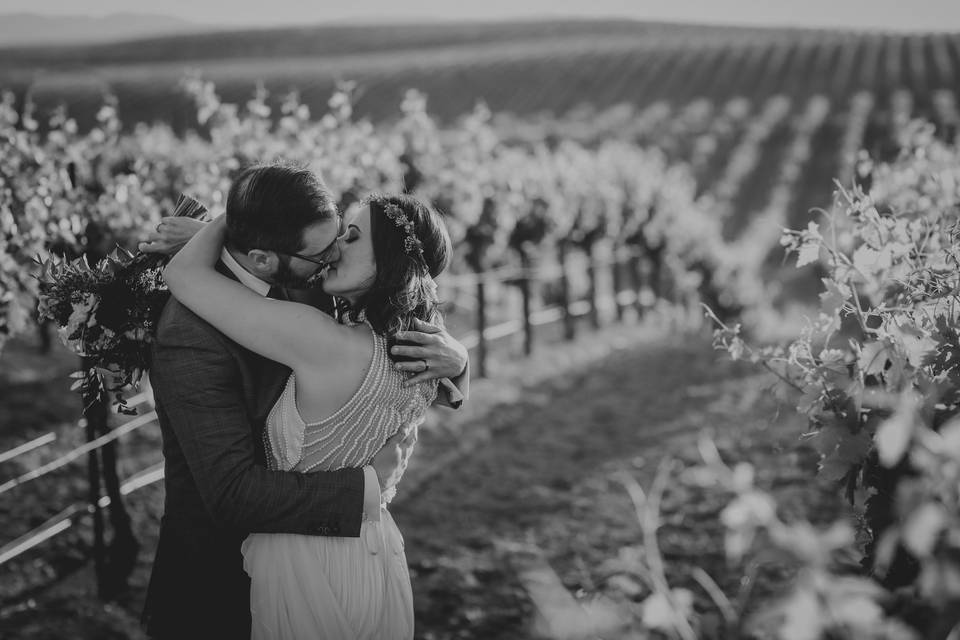 Vineyard