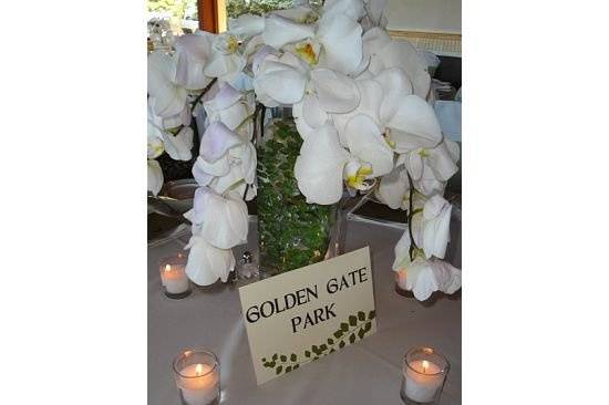 Phalenopsis Orchid Centerpiece