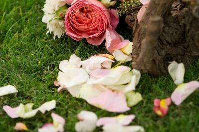 Grapevine aisle runner with garden roses